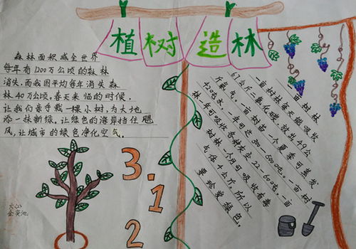 新兴小学举行植树节手抄报展览活动