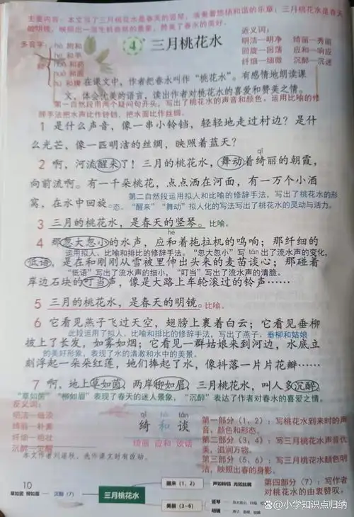 四年级下三月桃花水课堂笔记课后习题