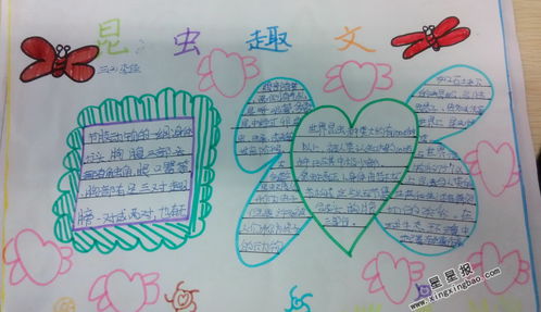 关于昆虫手抄报图片3张