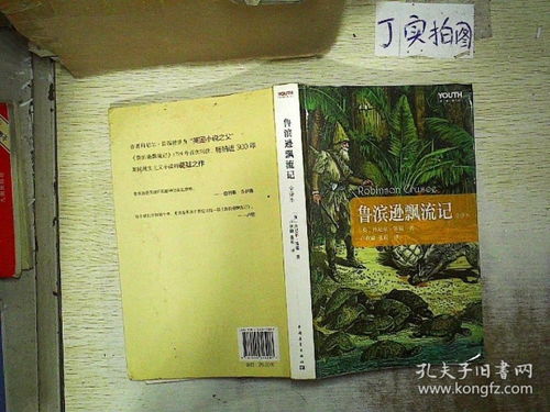 鲁滨逊飘流记全译本