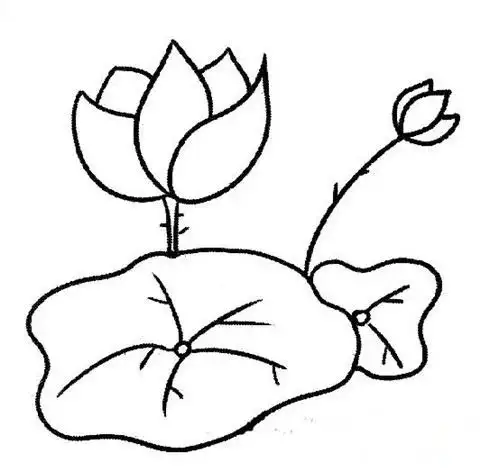 80张幼儿必会的简笔画,幼师家长先替孩子收好喽