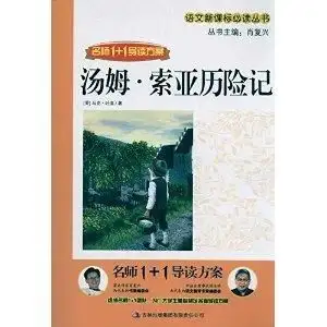 名师11导读方案汤姆索亚历险记
