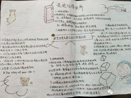精彩化学化学手抄报展1