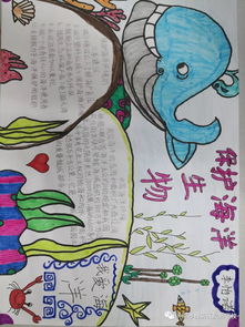 泉新学校探秘海洋世界放飞蓝色梦想泉城海洋极地世界一日研学活动