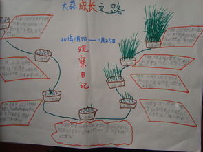水生大蒜的手抄报只有50字