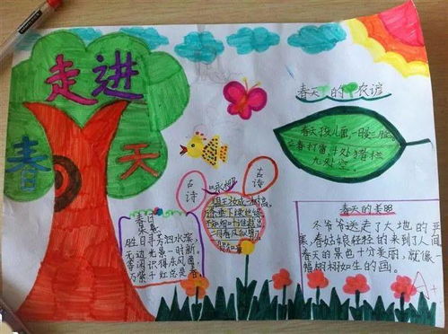 手抄报关于春分的手抄报内容,春分的习俗有哪些寻找春天手抄报设计图