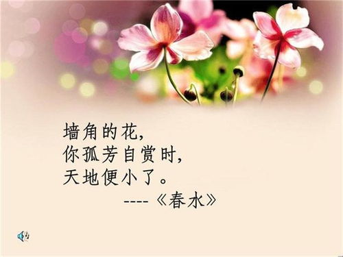 被林徽因张爱玲讽刺,鲁迅也瞧不起她,为何文人们不喜欢冰心