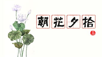 朝花夕拾