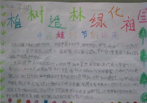 植树节手抄报六年级