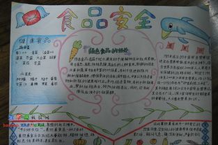 食品安全手抄报一等奖