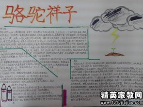 250字读骆驼祥子有感3篇