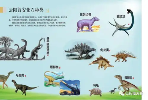 看了北京大学这个展览,才知道云阳恐龙化石有多牛