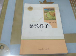老舍名著骆驼祥子阅读导引问题设计