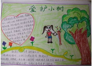 北京小学二年级关于树木手抄报