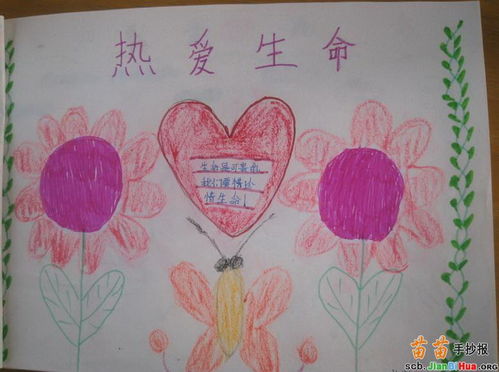 幼儿园热爱生命手抄报