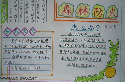 三年级下册森林防火手抄报身边隐患我排查