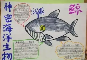 我眼中的中国海青岛南京路小学海洋教育系列活动海洋知识手抄报分享会