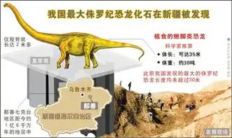 新疆鄯善发现我国最大侏罗纪恐龙化石