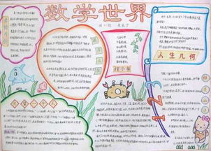 四年级下册数学手抄报内容