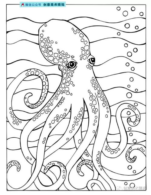素材分享海底世界主题线描作品