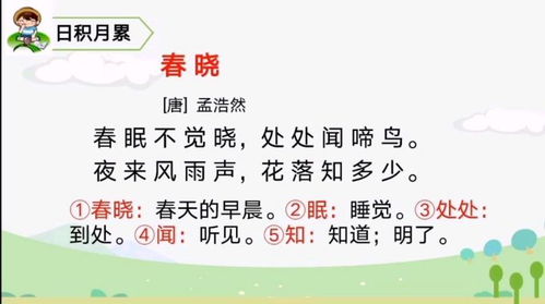 一年级语文下册课文12古诗二首小池知识讲解