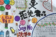 6.26国际禁毒日,国际禁毒日是几月几日,国际禁毒日由来,国际禁毒日主题