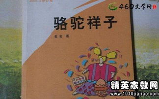 骆驼祥子读后感