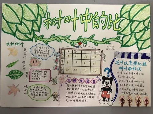 趣味数学节之数学手抄报小能手
