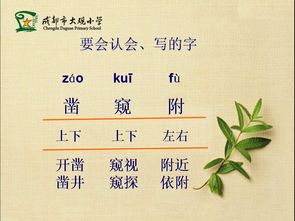 叶公好龙新要点.ppt