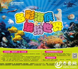 盘点山东最适合看海的地方来日照必游景点