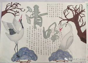南昌二十中开展我们的节日清明节手抄报评比活动