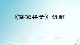 骆驼祥子名著阅读