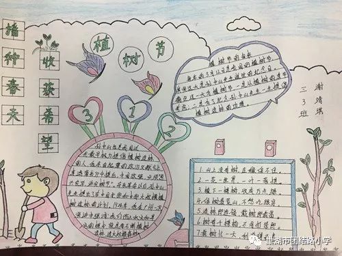 我校举行植树节手抄报评比活动