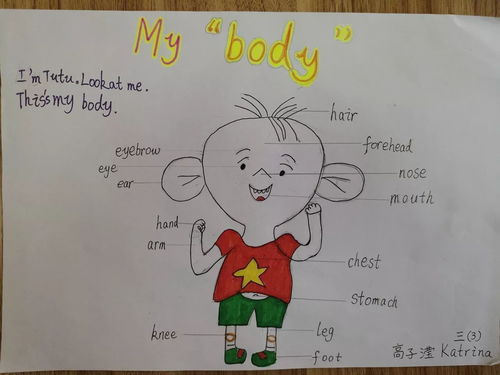 趣味英语,因我而精彩三年级主题小报作品展