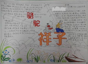 骆驼样子手抄报1723