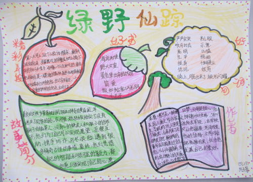 四年级绿野仙踪手抄报图片5幅