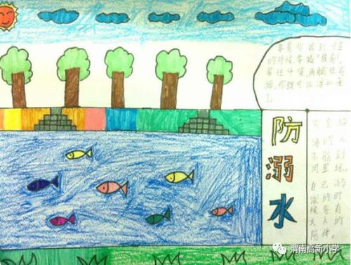 夏季防溺水安全教育