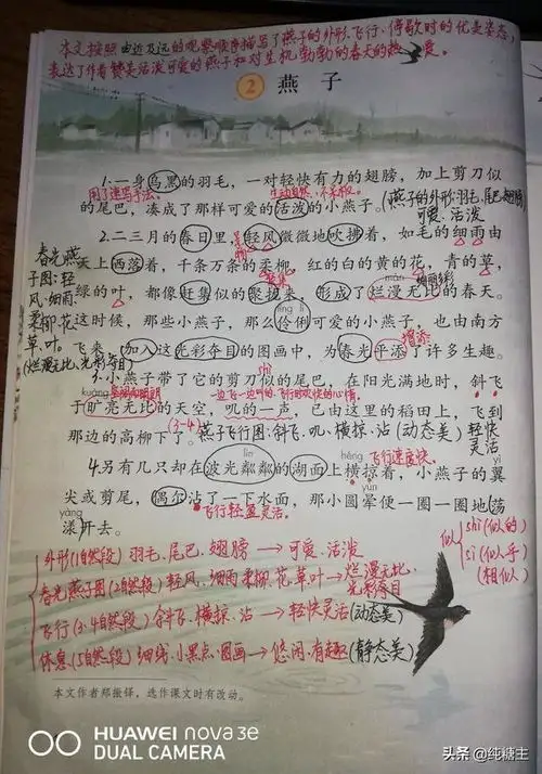 统编三年级下2.燕子学习笔记分享