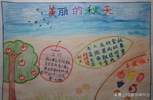 秋分手抄报