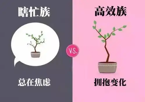 谈方法你是高中生中的瞎忙族还是高效族