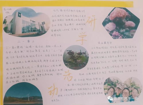 梦想在发芽高一年级生涯规划实践活动手抄报展示