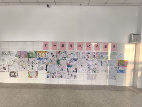 数你精彩山东省济南市莱芜第一中学举办高一数学文化节手抄报大赛
