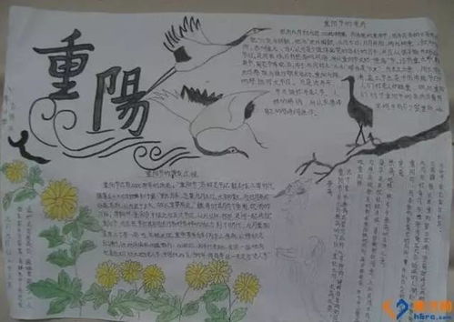 重阳节手抄报来了