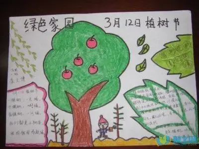 植树节手抄报