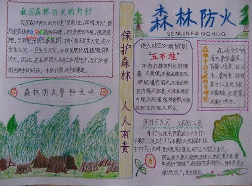 森林防火手抄报当我走进大森林