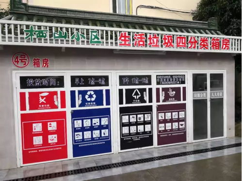 代表带你去视察上海有多美一起去寻