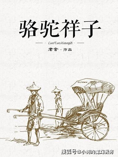 骆驼祥子很多人即使竭尽全力,仍然过不好这一生