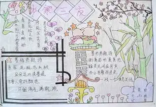有关松竹梅的手抄报