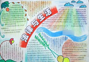 全国法制宣传日手抄报内容