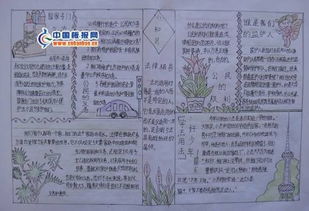 我是普法宣传员手抄报内容